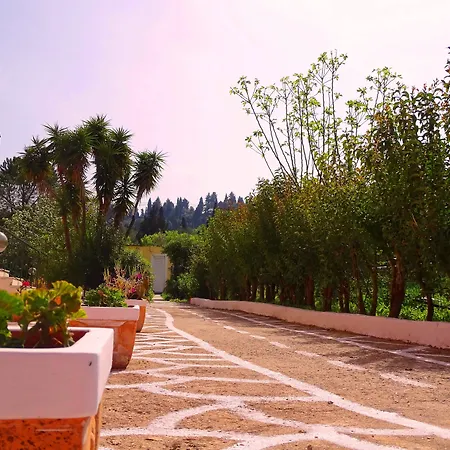 Joanna Контокали